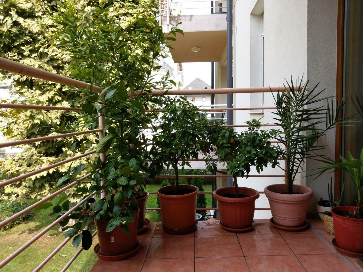 שיופוק Mandarin Wellness Apartman מראה חיצוני תמונה