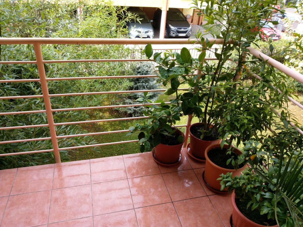 שיופוק Mandarin Wellness Apartman מראה חיצוני תמונה